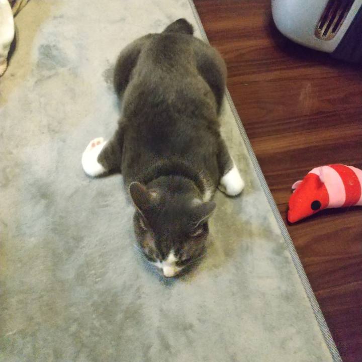 5b20be0c 6cf5 4be0 9bbe 6e584d2c81df 1645186833060