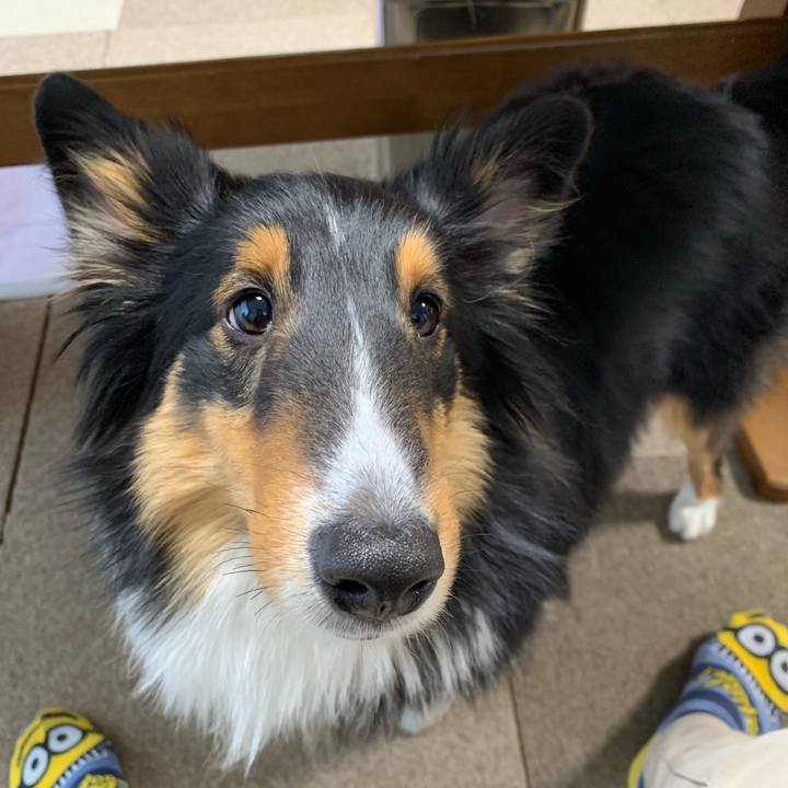 5b210169 37ad 4202 9291 30e5e17477a4 1548367968749