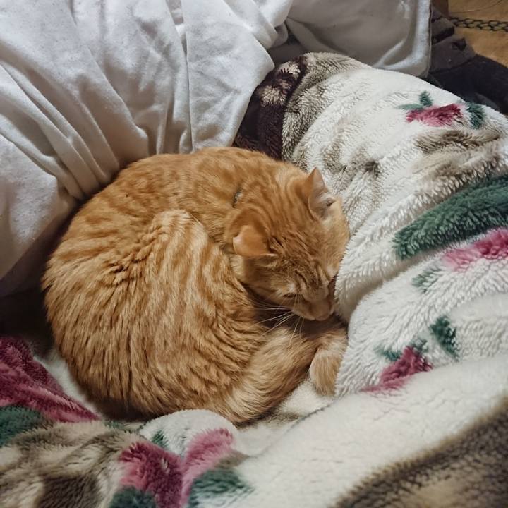 5b213715 b7f7 44bb 833d e1753b92fe19 1646743046787