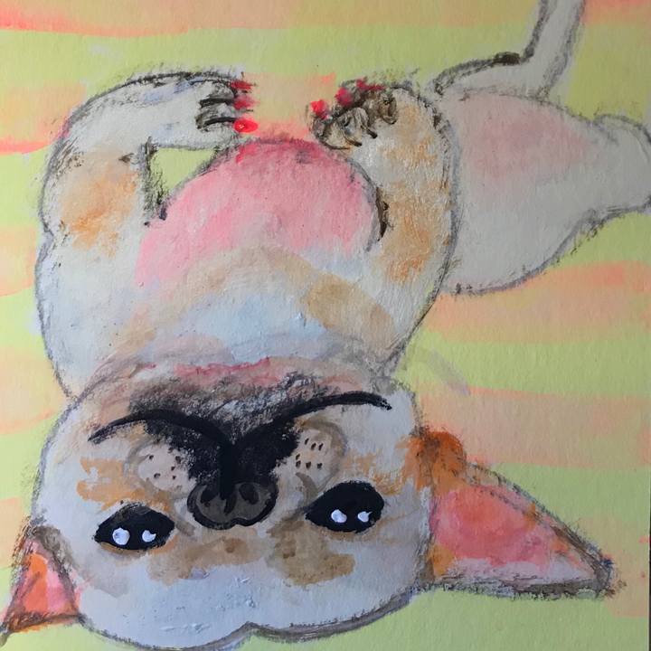 5b214229 2545 489e 9d78 8f485e7b500b 1596110879577