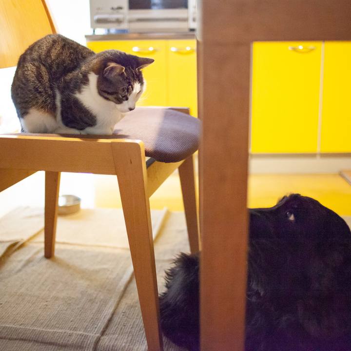 5b214305 e1bd 4789 ba48 793e7250553b 1550159118080