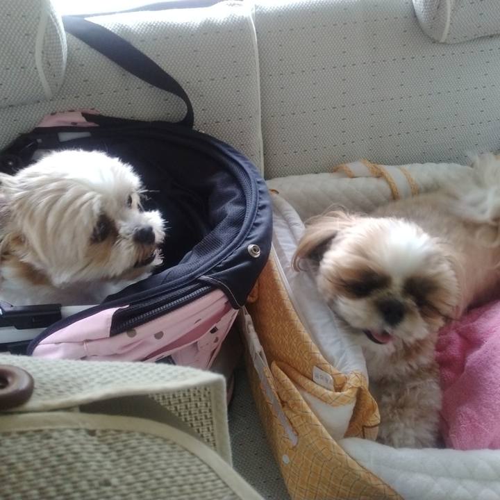 5b2160d1 ae11 49b1 8331 5cfb38483118 1682046084562