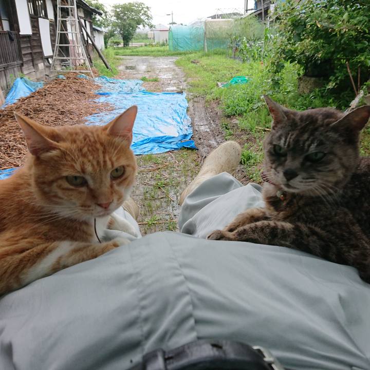 5b216304 2f87 4ee1 82d2 608fad6f951b 1594373085577