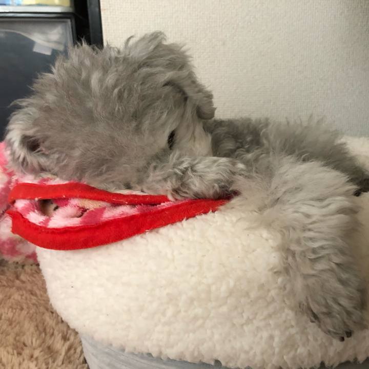 5b218945 7ec1 4092 9799 45d0d4912c46 1579934608286