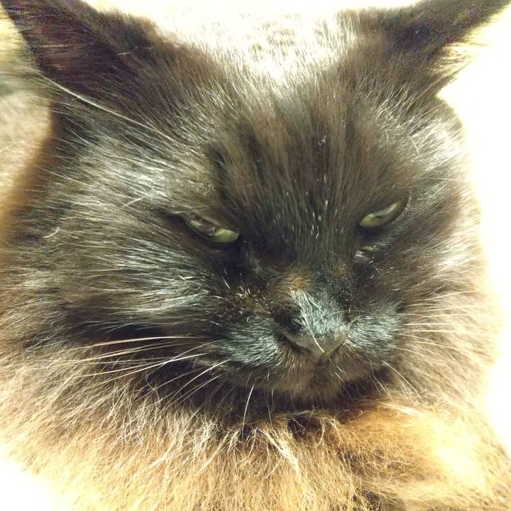 5b21e309 7b3c 41f2 8e02 ef9ae6b05049 1638013261560