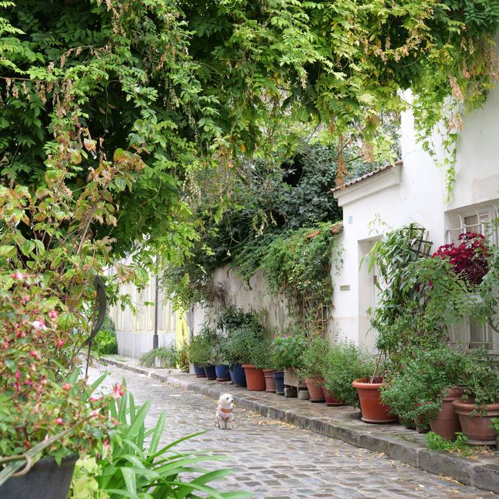 5b21eb04 351b 416a b214 f5ad16018cd3 1758080047579