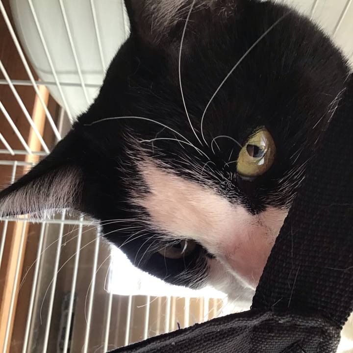 5b21f330 8dd0 4ea1 a0e0 9343db7d4829 1739671093405