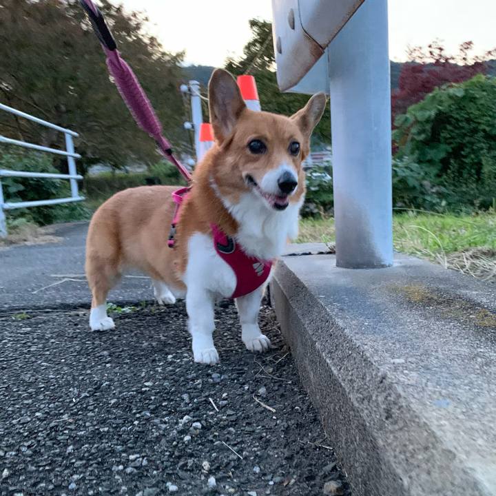 5b21fc8a 7d6d 4620 ac23 5212bdcd43e3 1697621272773