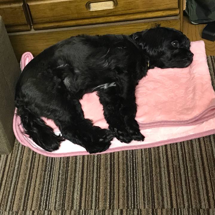 5b223ffc a749 4105 83a7 f9ca760248ca 1529725069495