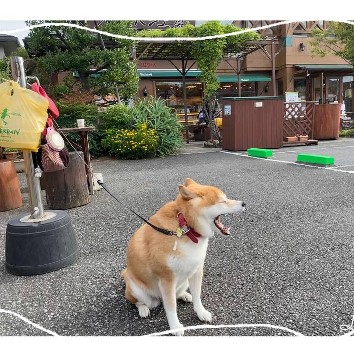 5b22563a ab04 4a5a 8c26 08e9345efa49 1601364016296