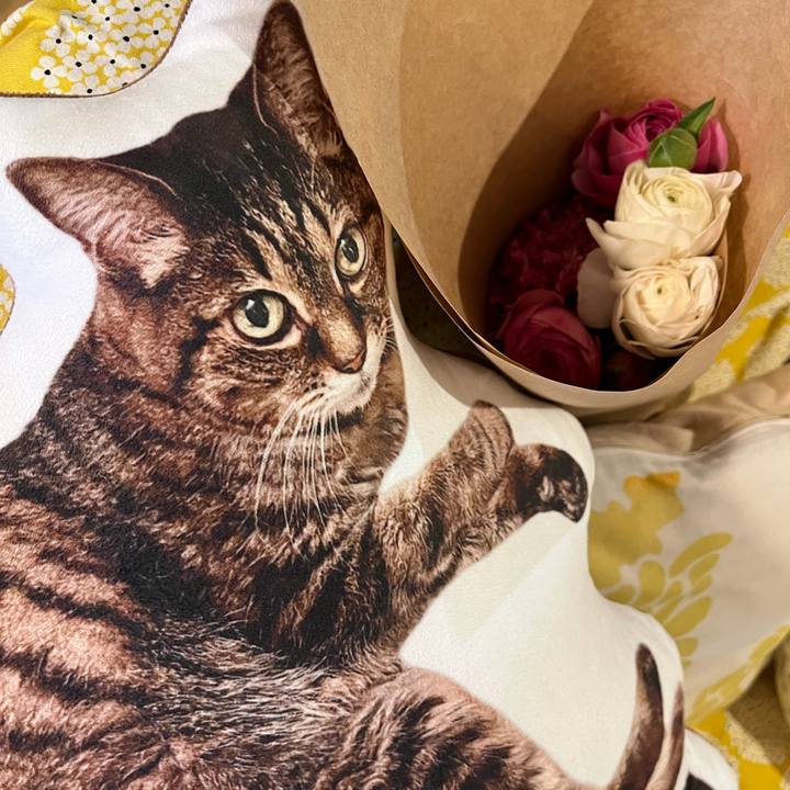 5b22807b a3a9 4f17 be62 56a376a86f87 1770627110097