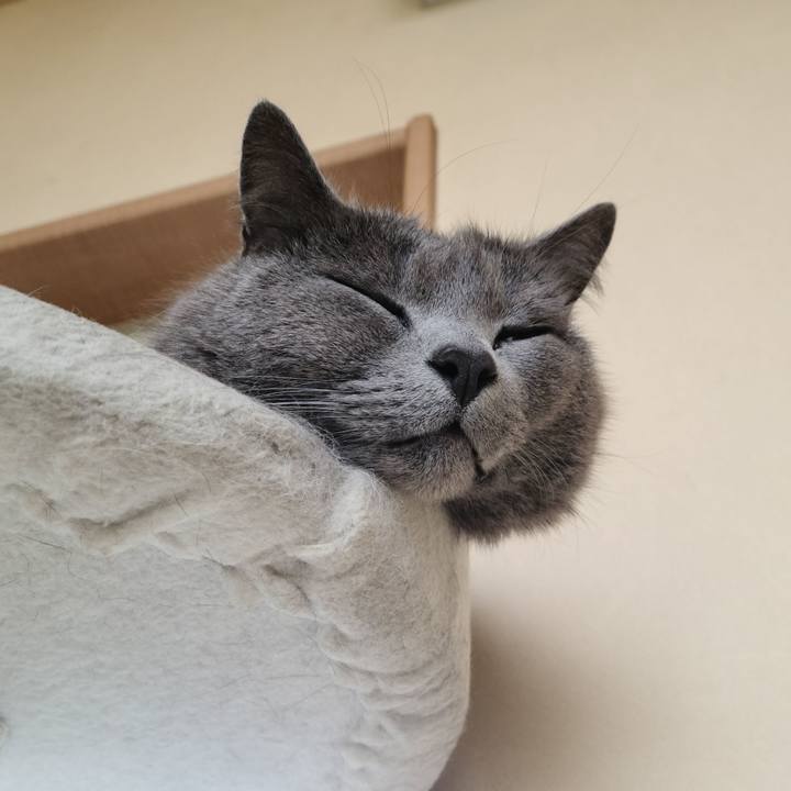 5b228237 f55f 4664 8f1e fa2cb829ce27 1620288770069