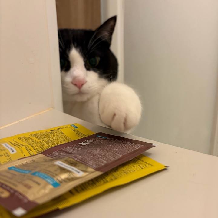 5b22884c a99d 441f a246 7be5985dddf3 1768492660555