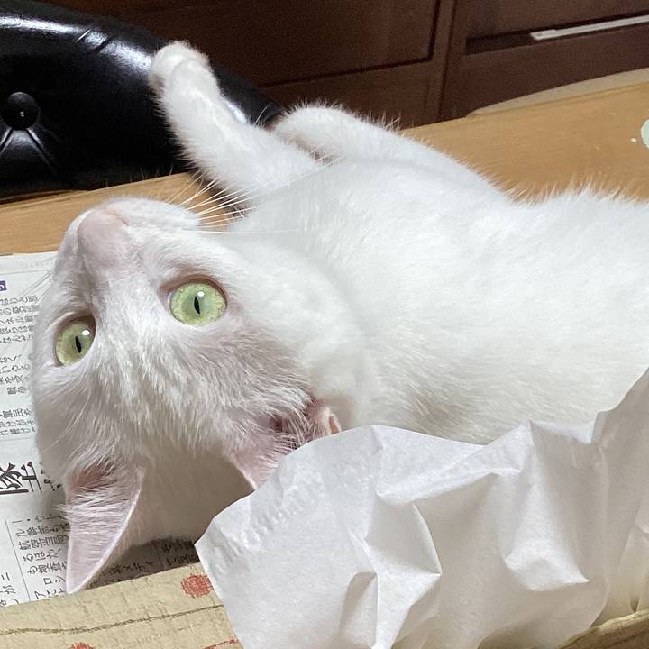 5b2289f8 9aa8 4468 9e0f 4f56f73d2bde 1692920663684