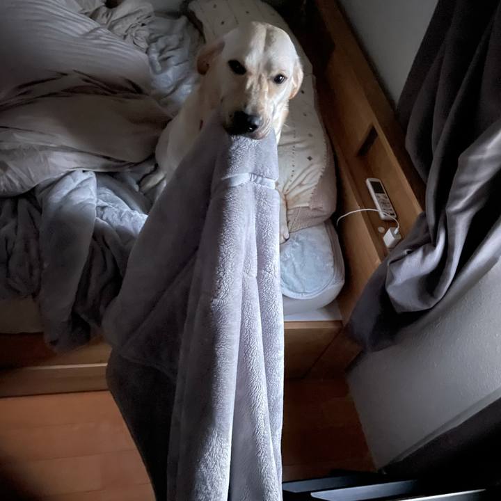 5b22ca73 c923 481c 9be7 6daf43247edf 1635203511363