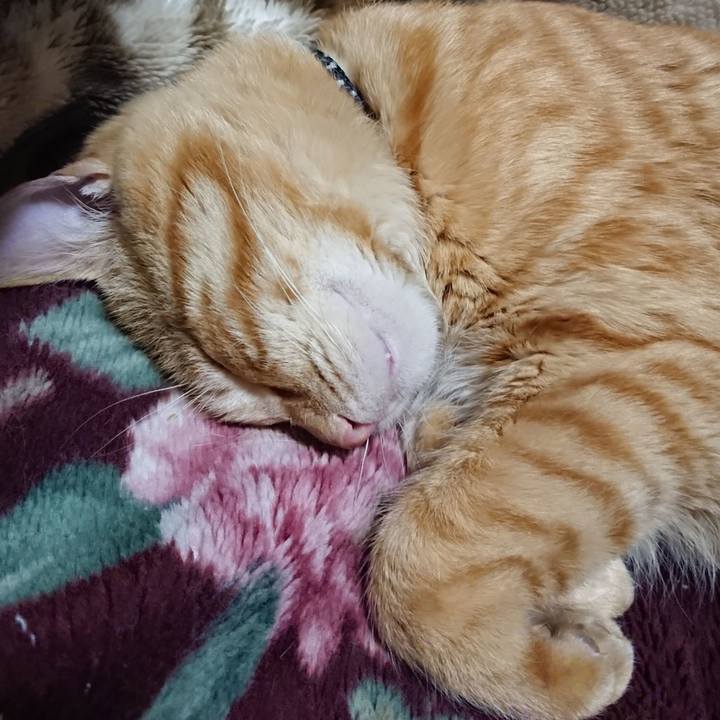 5b231de7 7063 4b9a 8b17 9291f17f2117 1646310694938