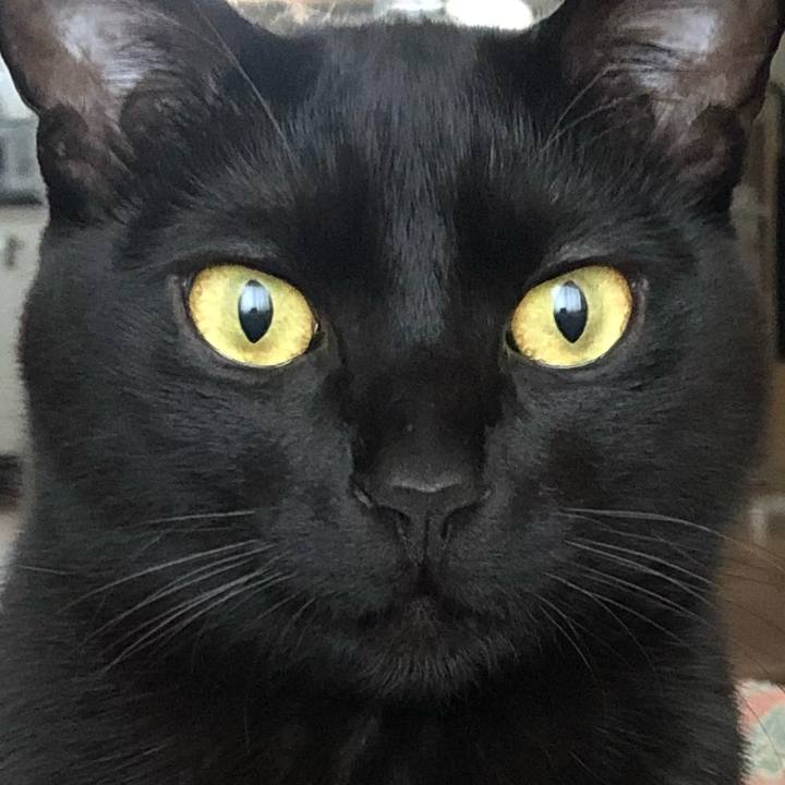 5b235639 e538 4abb 8696 33150465b0ab 1548468857725