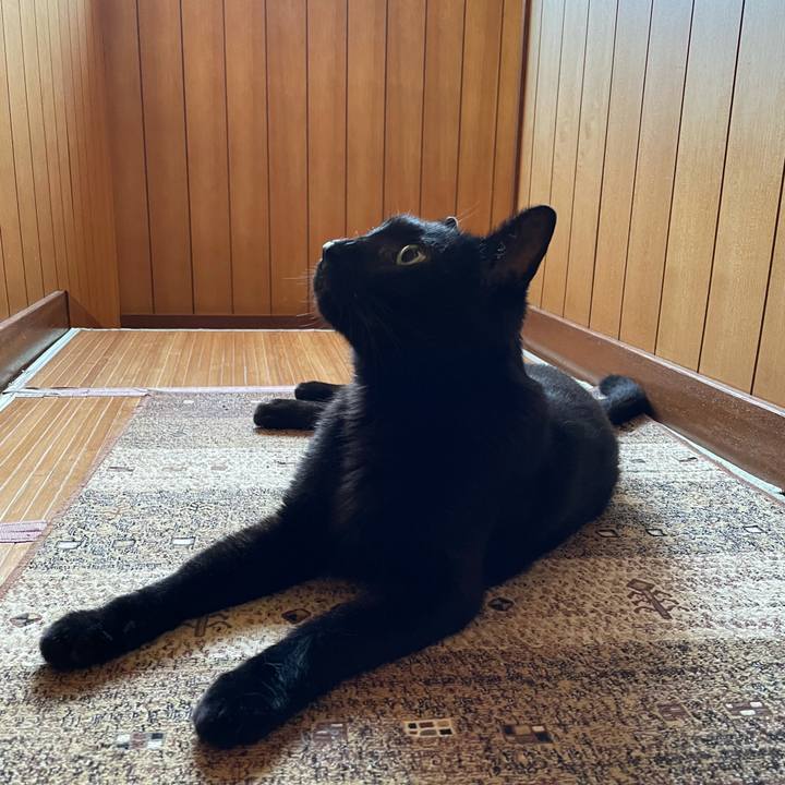 5b23ad8c 3c6f 4cb7 ba95 20624582bc0b 1630110425294