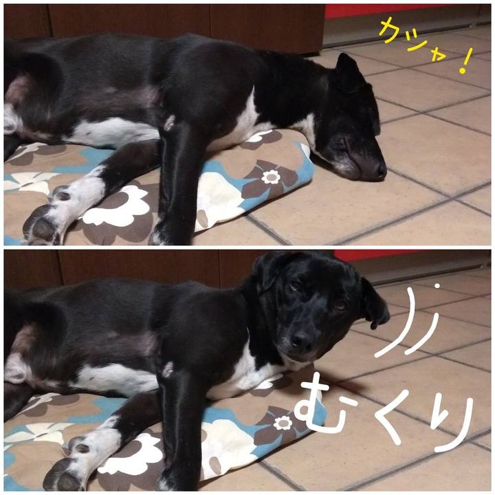 5b23baa5 6d80 4fab 9193 1d89e2884166 1603016338701