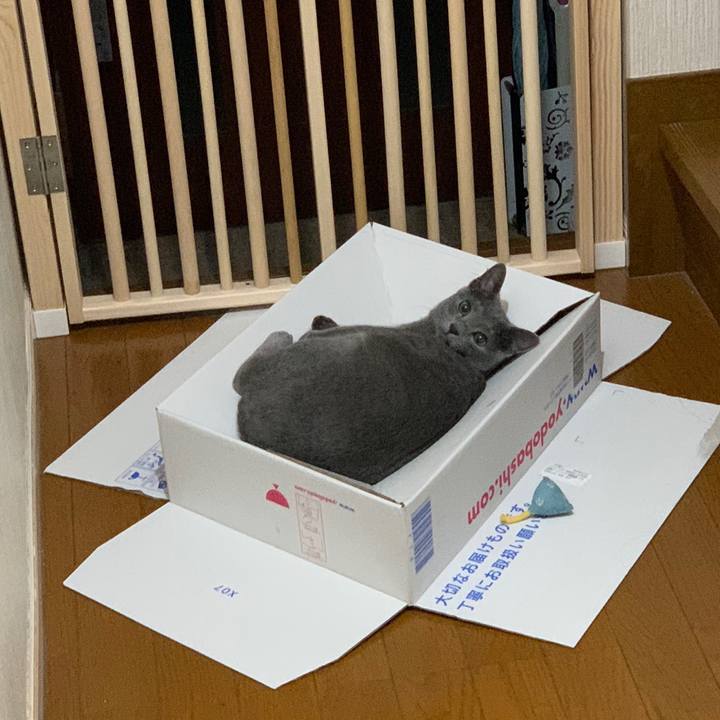 5b23cd19 7d66 4e36 b19d 45b306e01e20 1578864608307