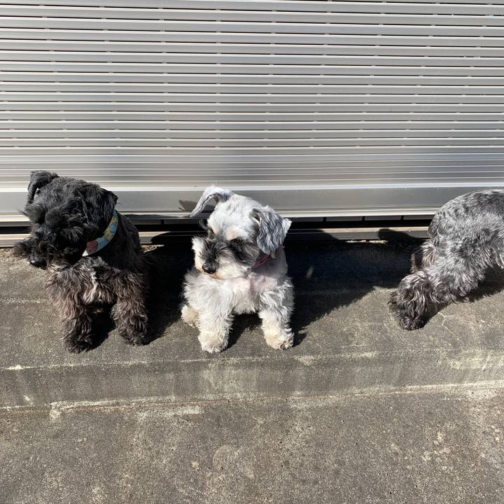 5b23f3cf 4190 4005 b835 bf7b2df2a248 1612847530902