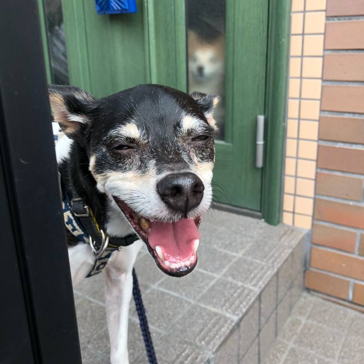 5b2400e4 d064 479a b54e bafed64f4a11 1533036508566