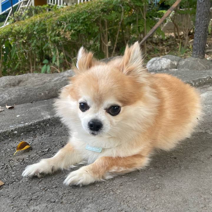 5b2406ed 38c6 43a4 8441 8c44d8cab9cb 1756163418817