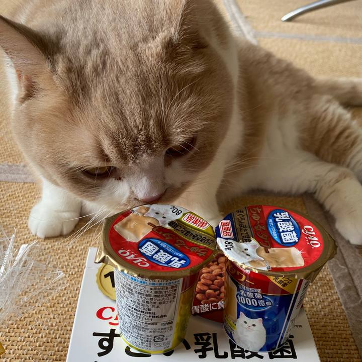 5b24109d 7205 4241 8505 3cd9e5ff72ca 1603426577500