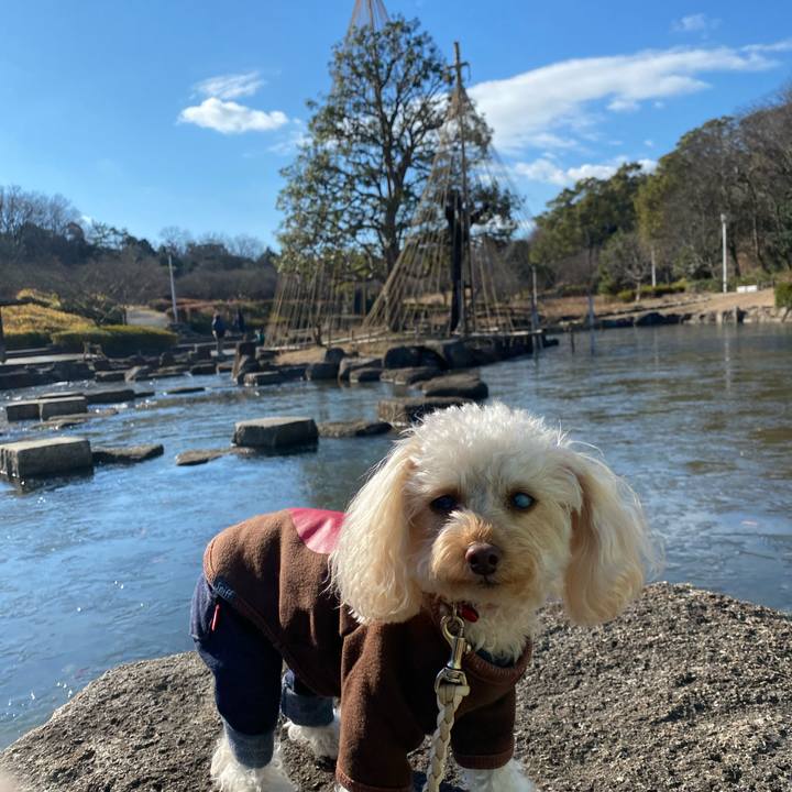 5b241c5c ea5b 48a4 b15e 8cd882128cbe 1610245472423