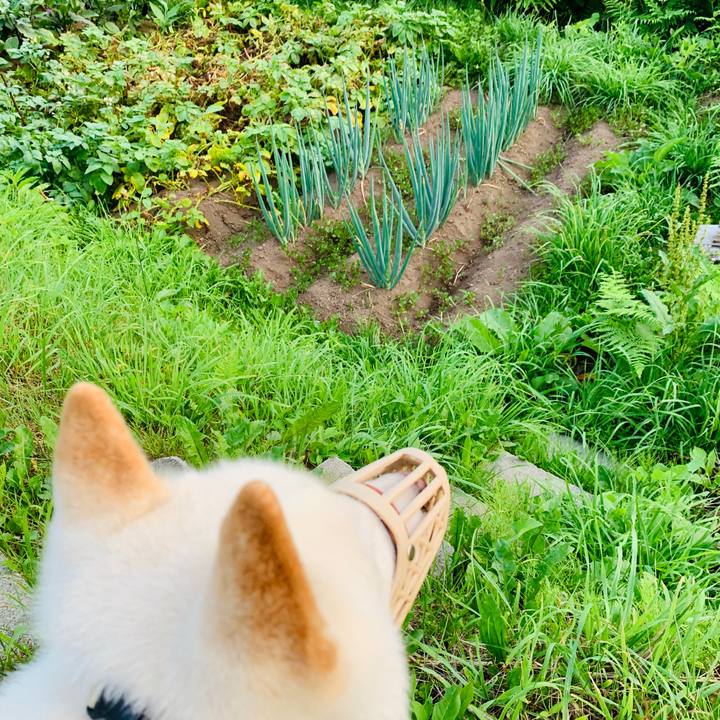 5b242e5c c530 44c4 8ead 38bc5329d518 1564520308151