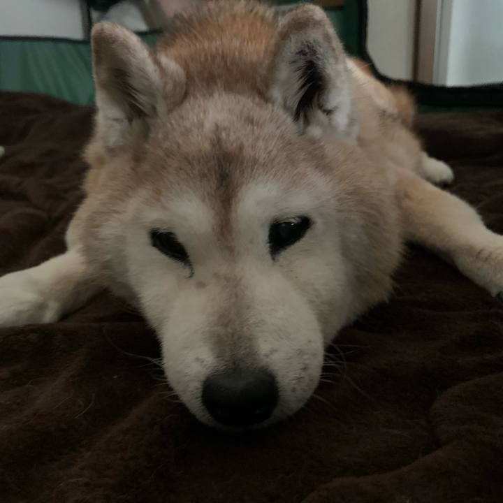 5b2439e7 8c21 4f7c 9074 edc94d30aef0 1698107327539