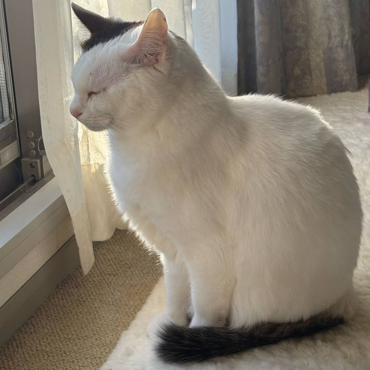 5b244640 46b4 4aef a53b e581d93310bb 1766902362261