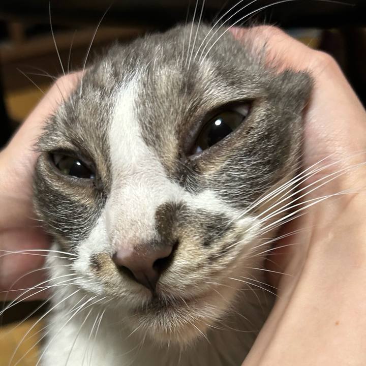 5b2508e9 8167 48c6 a91a 39aecbcda3fa 1773964959585