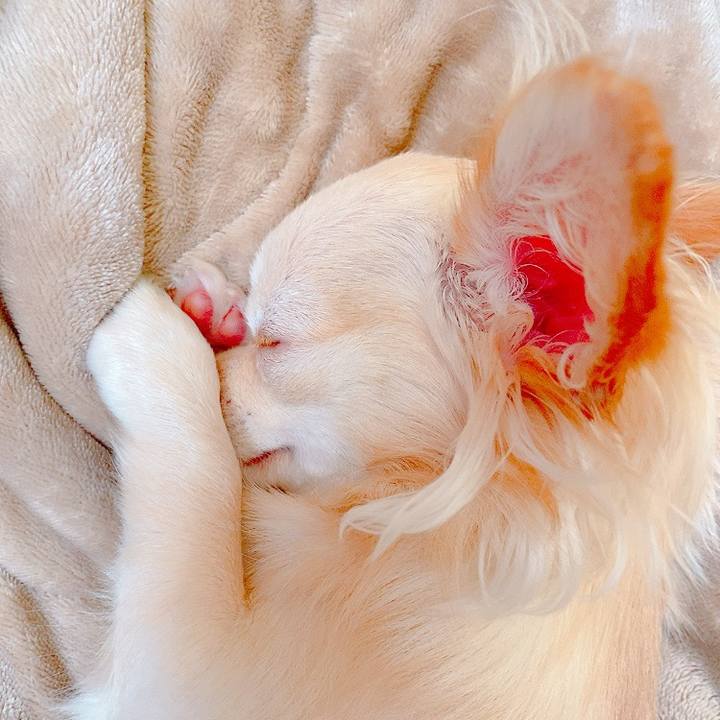 5b250948 c782 4d19 a5de f9816259ffe9 1626161385383