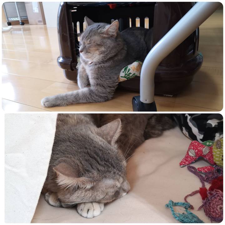 5b252d2f a489 4d53 b0aa 8330309145ad 1567411468204