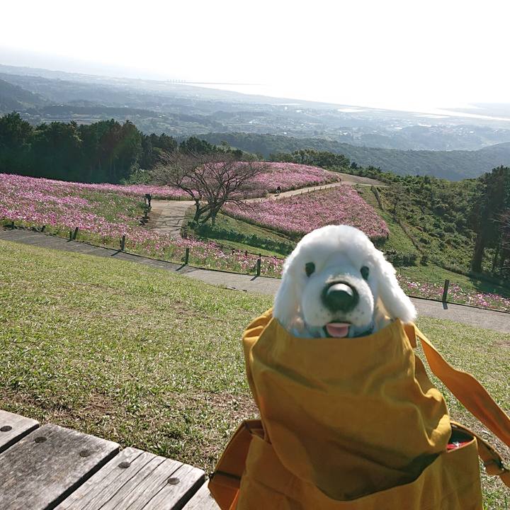 5b255308 df14 4ee6 a301 554910fb7fa1 1602667441808