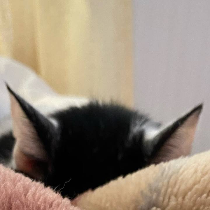 5b255bcc deb6 427a 97bd af7fbf0d7e29 1577833199004