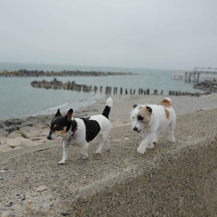 5b256046 9229 4c02 b394 9997cf084391 1524457699659