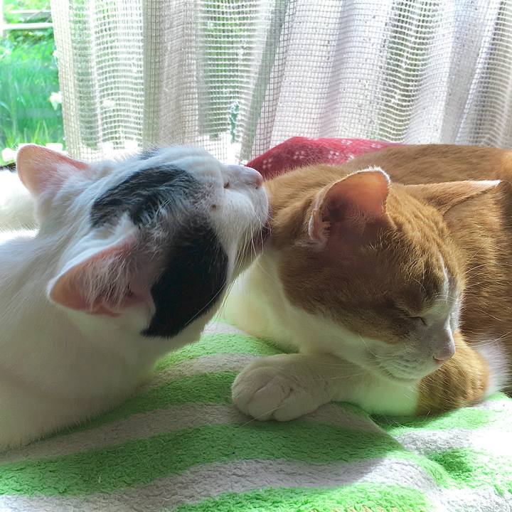 5b259751 2806 4d0a ab46 d71380bb9e1b 1619478474084