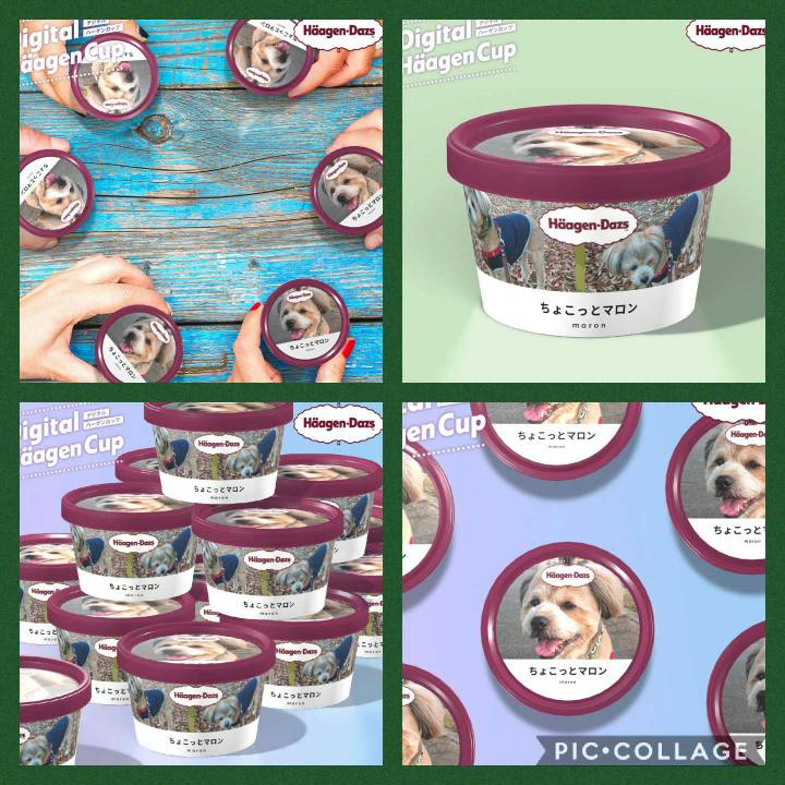 5b25a823 3ed5 45de 9939 e65ab47483ee 1607682453555