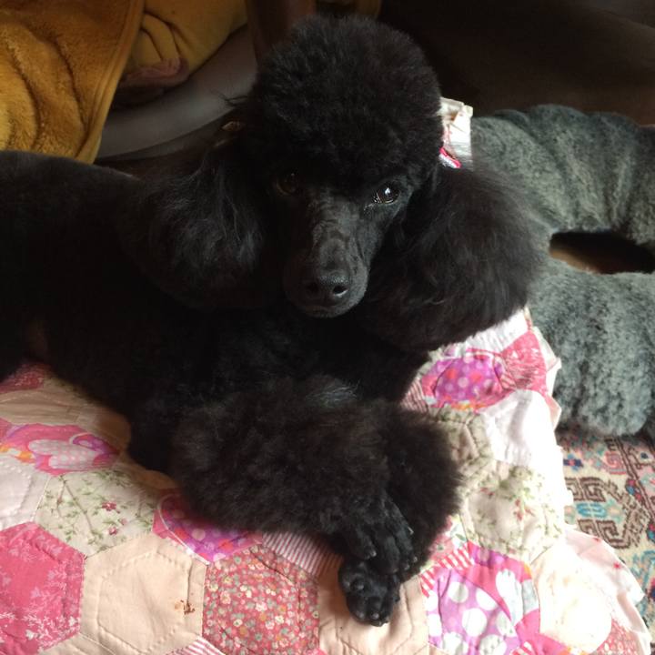 5b25e284 64a9 44cd a3fd 3f3c75141ff3 1554698403120