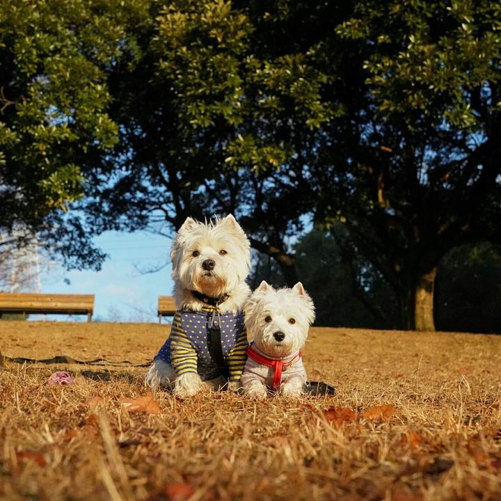 5b262781 c5e1 41ed a78c aeee8c3bf0d2 1514262144245