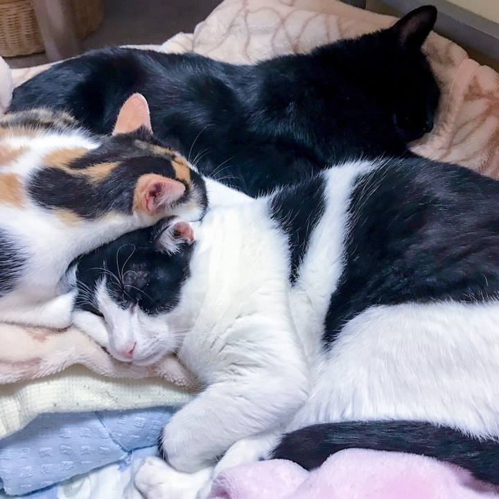 5b2673d9 9a64 456d 9787 811e54db73b8 1509594908635