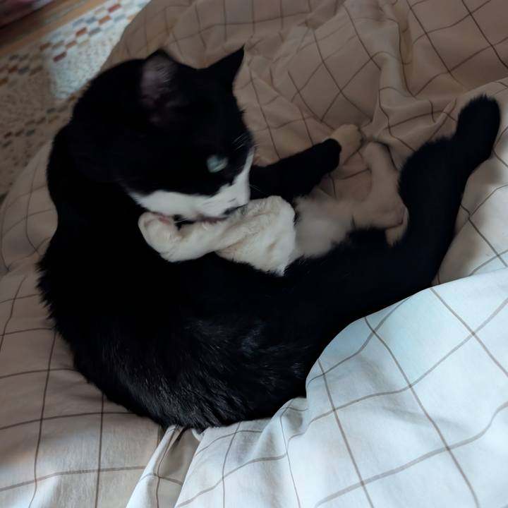 5b26b8d2 c7d8 482e 879e 02d54f2a52e9 1763160127180