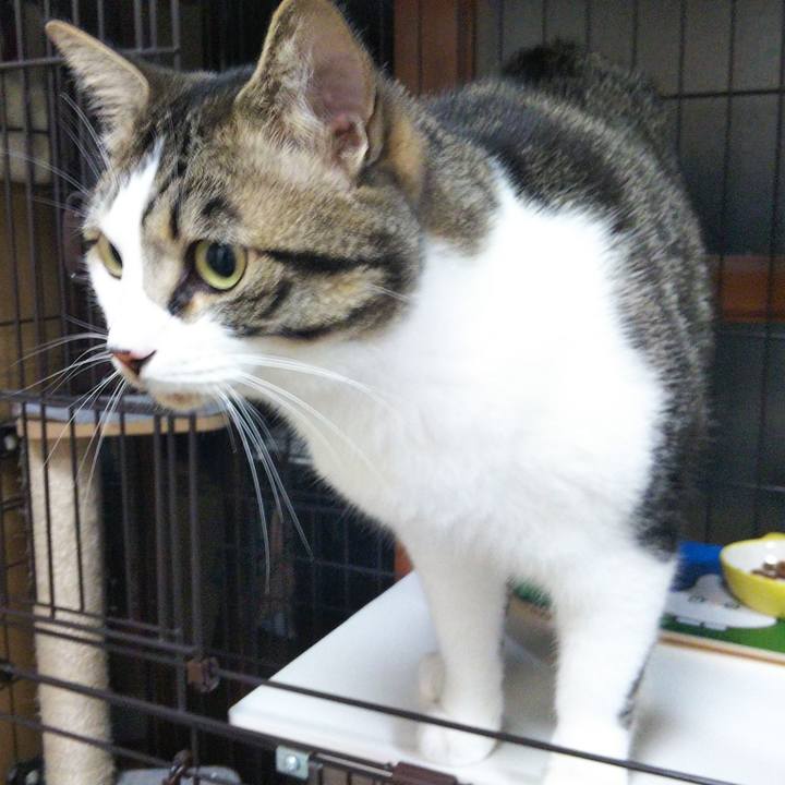 5b26d2b5 9a3e 43ec b284 fa2091c5f959 1655121846009