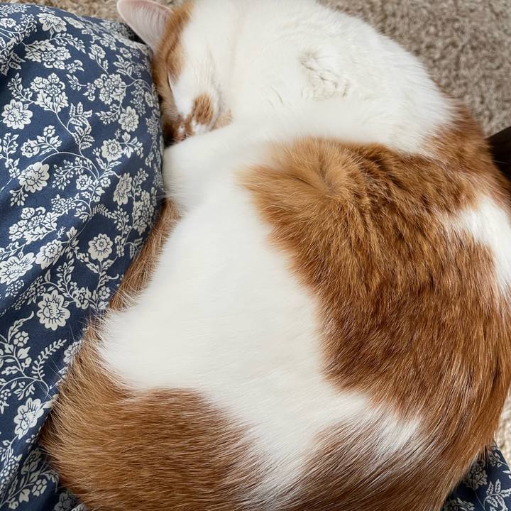 5b26e07a 51e4 4660 84ea 1abbcc407d53 1648003296359