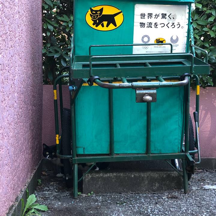 5b2707a2 b4be 4415 ae9e c6cf57bed562 1604630802128