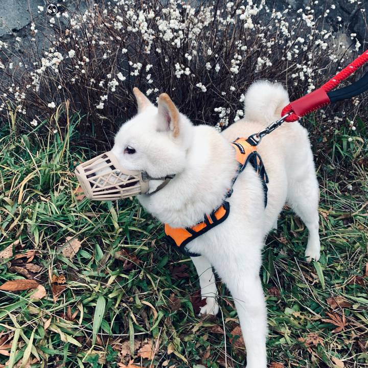 5b274321 c60f 408f bc4c 4b16155e04ad 1669094973679