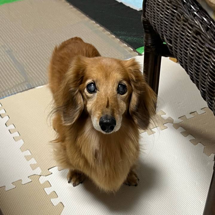 5b274fd9 cfe4 4a66 bb7f 5b936f9248bb 1683554968480