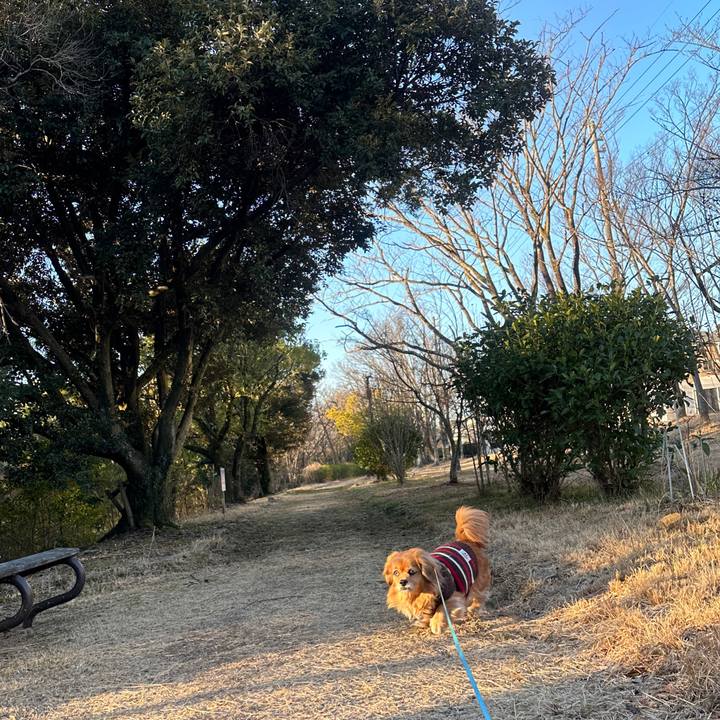 5b2753af 71e4 48a0 b289 3923f972f0aa 1706484237729